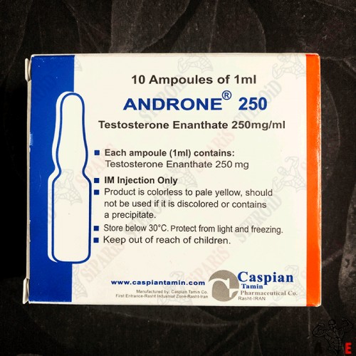 Androne 1ml 250 Mg Caspian Androne 1ml 250 Mg Caspian